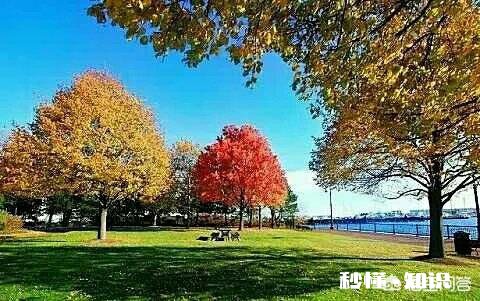 怎样提高自己学习兴趣