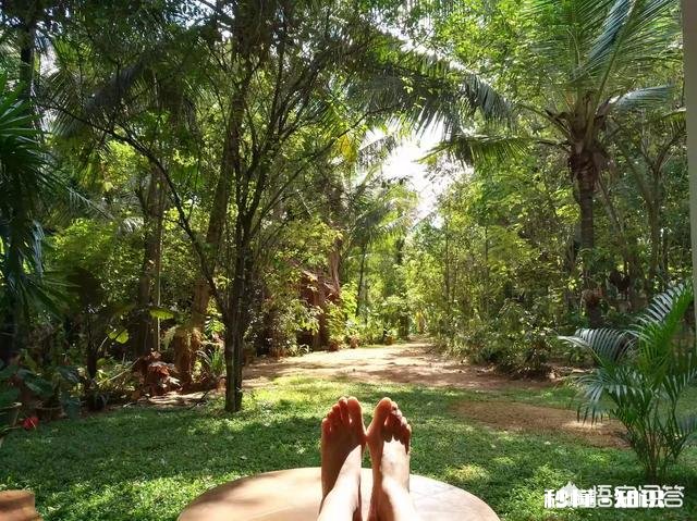 你想在家里过年，还是出去旅行过年你最想去哪里玩