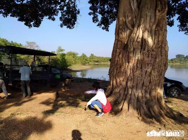你想在家里过年，还是出去旅行过年你最想去哪里玩