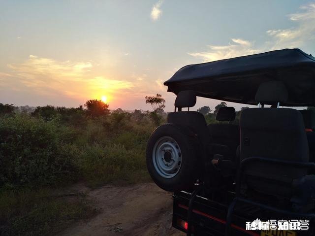 你想在家里过年，还是出去旅行过年你最想去哪里玩