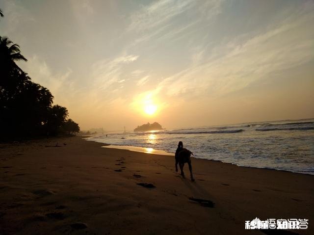 你想在家里过年，还是出去旅行过年你最想去哪里玩