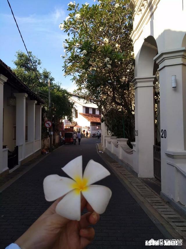 你想在家里过年，还是出去旅行过年你最想去哪里玩