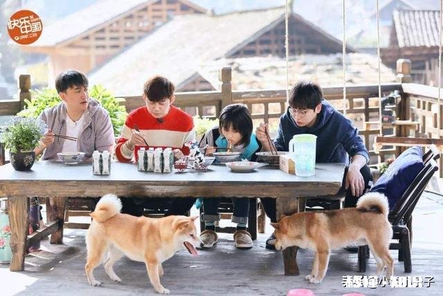 每个人推荐一个下饭的剧或者综艺吧