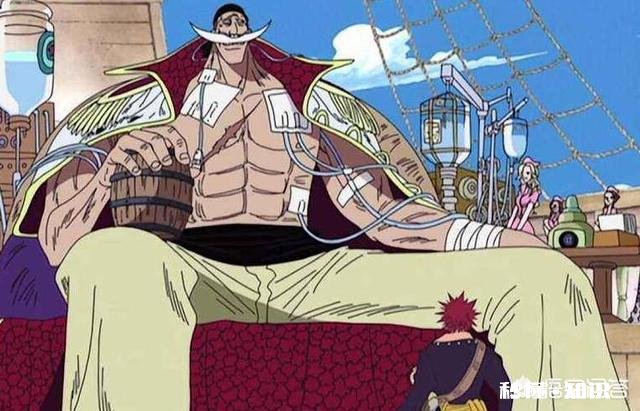 海贼王中七武海号称与四皇、海军并列三大势力,是不是浪得虚名