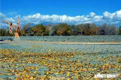 爱上一个生活三观非常糟糕的女人，要不要和她的家人一起挽救他