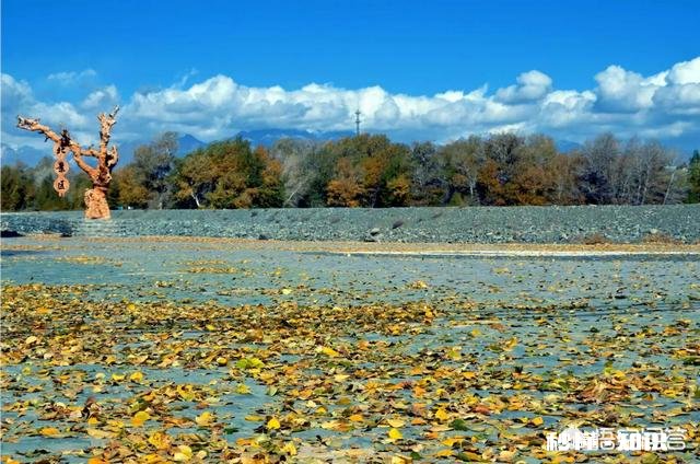 爱上一个生活三观非常糟糕的女人,要不要和她的家人一起挽救他