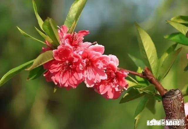 爱上一个生活三观非常糟糕的女人,要不要和她的家人一起挽救他