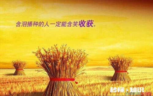 工作中遇到最烦心的事是工作本身还是人际关系