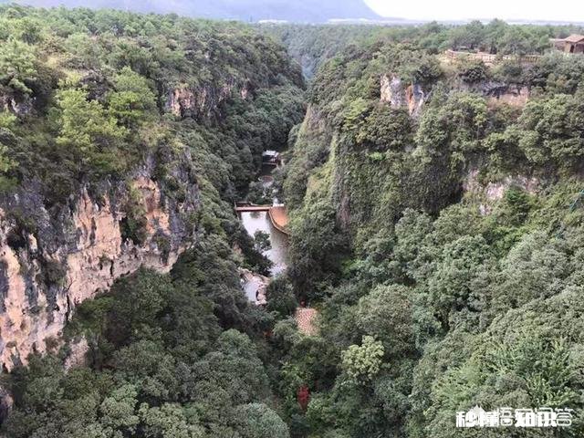 如果没有了旅游，都不知道今后该怎样生活下去，你觉得这样的人是不是“疯了”