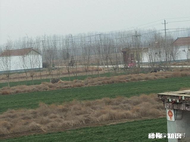 疫情过后,农民种植中药材的前景如何