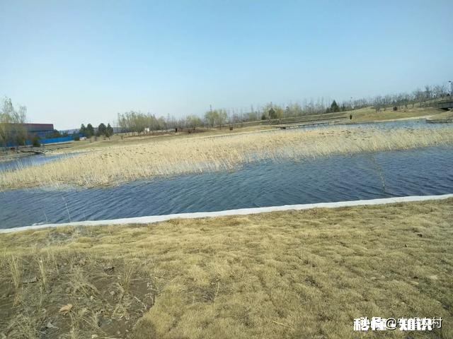 疫情过后,农民种植中药材的前景如何