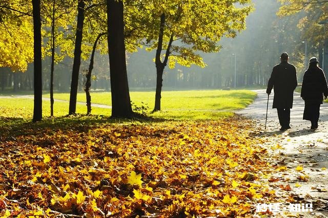 “感情中,性格互补的人,才能终老”你怎么看