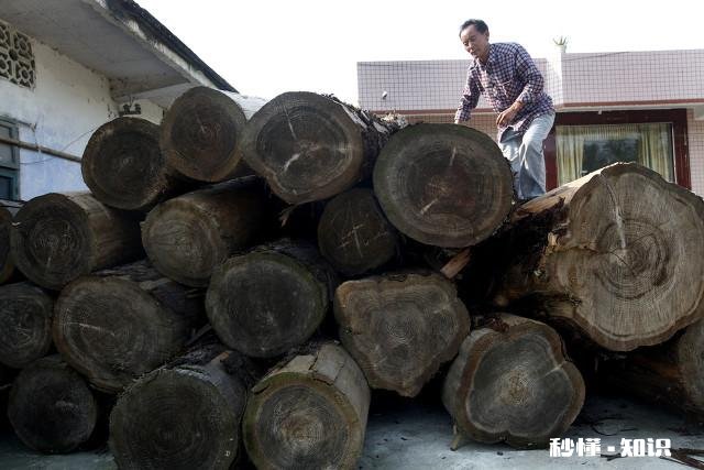 民谣“生在杭州,死在柳州”是什么意思