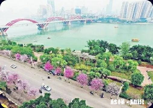 民谣“生在杭州,死在柳州”是什么意思