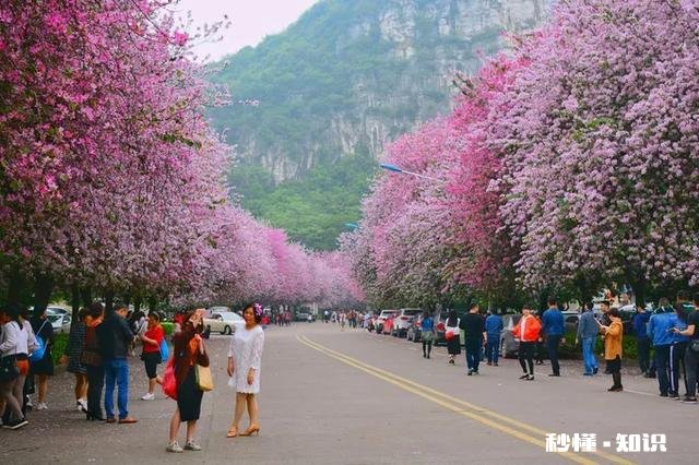 民谣“生在杭州,死在柳州”是什么意思