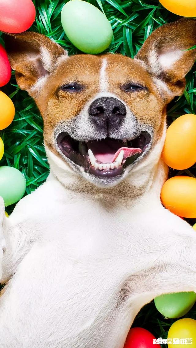 晚上睡觉眼睛很累,没有心事就是睡不着,就算睡着了也很容易醒,怎么办