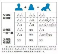 宝宝五个多月了，之前一直是单眼皮，以后有可能会变双眼皮吗