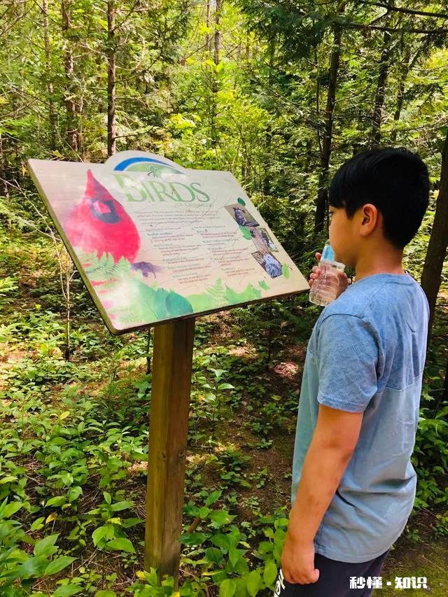 大家目前最想最迫切解决的教育问题是什么