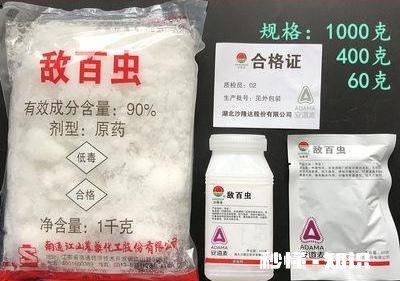 开春枣树打什么药好