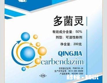 开春枣树打什么药好