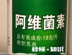 开春枣树打什么药好