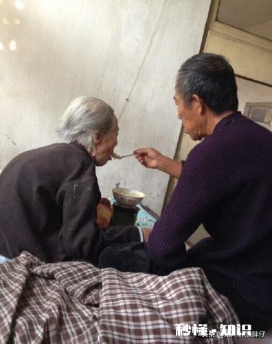 为什么父母总让我跟他们去大棚里干活