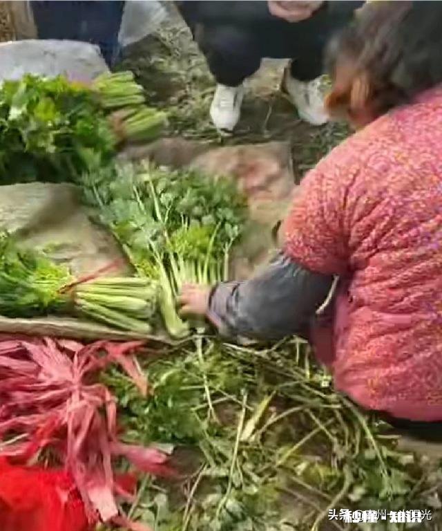 为什么父母总让我跟他们去大棚里干活