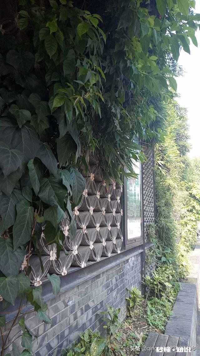 如何用一句话说明头条已经成为你生活中的一部分