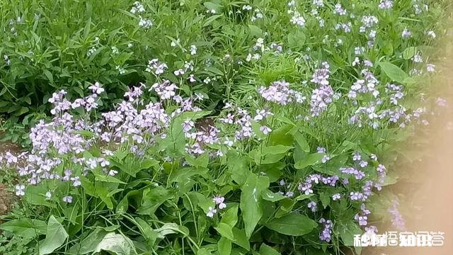 特别反感身边的人怎么办