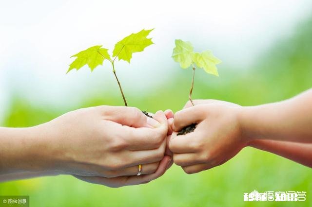 你觉得自己最缺的是什么为什么