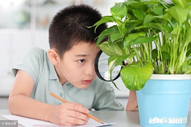 你觉得自己最缺的是什么为什么